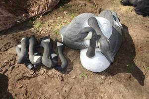 lot 299 image: 10 Goose Decoy Bodies with 9 Heads