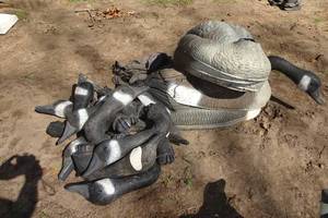 lot 301 image: 9 Goose Decoys
