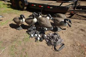 lot 296 image: 7 Flambeau Judge Full Bodied Goose Decoys with Extra Pieces