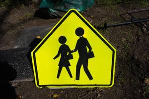 lot 175 image: Crosswalk Street Sign