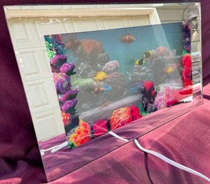 lot 6 image: Moving & Sound Picture - Fish Floating & Water Sound