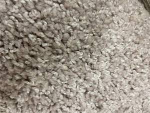 147 SF Mohawk Carpet Smartstan Stain Proof Placid Reflection Buffed  12x123
