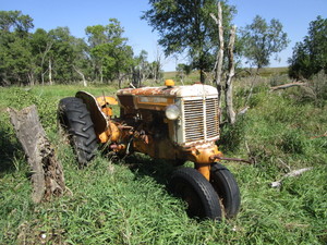 lot 20 image: Minneapolis Moline Tractor