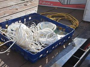 lot 491 image: General Purpose Rope Hoist, Extension Cord