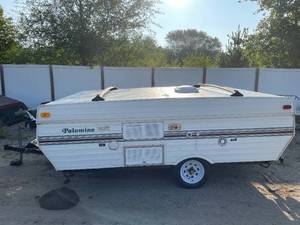 lot 116 image: 1998 Palomino Yearling POP UP White