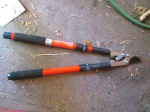 lot 247 image: Corona ratcheting tree lopper with extending handles