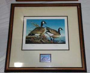 lot 669 image: Signed Terry Redlin Print Banded Canada Geese.