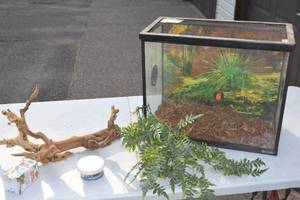 lot 102 image: Reptile Enclosure 10 12 x 17 x 20