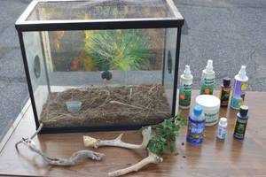 lot 103 image: Reptile Enclosure 10 12 x 17 x 20
