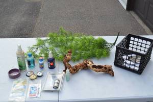 lot 104 image: Reptile Pet Supplies