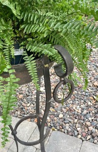 lot 80 image: Metal Plant Stand with Fern Plant