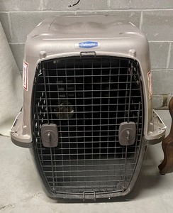 lot 158 image: Large Pet Carrier