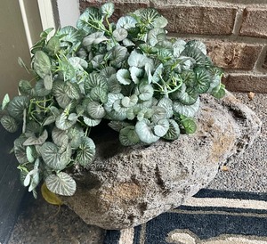 lot 184 image: Pumice Stone Decor