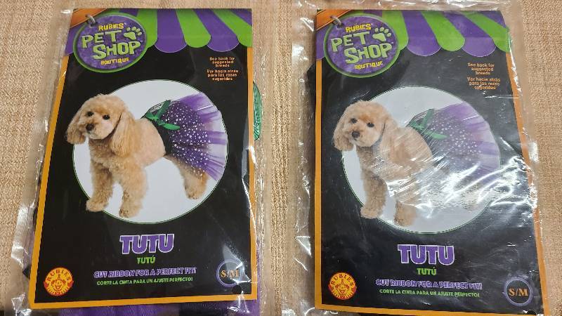 Halloween Pet toys