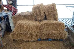 lot 112 image: Lot of Straw