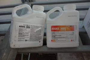 lot 117 image: 2 bottles assail insecticide