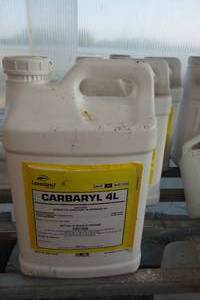 lot 129 image: Carbaryl 2.5 Gal Insecticide 2 full 1 partial