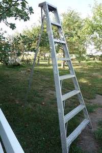 lot 159 image: Columbia 8 apple ladder
