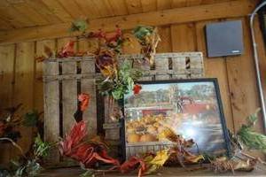 lot 217 image: fall dcor lot - photo of truck and pumpkins basket and leaves
