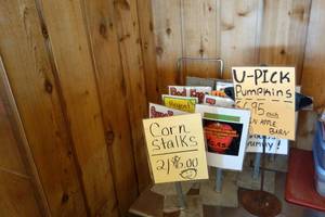 lot 244 image: Tabletop Signagedisplays
