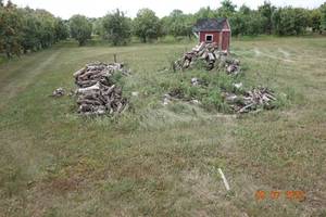 lot 40 image: dried apple firewood - buyer load