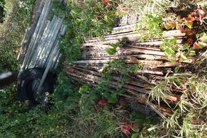 lot 77 image: T Post Pile