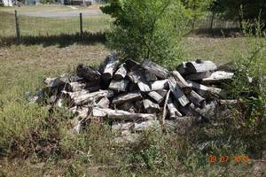 lot 79 image: Dried Apple Wood Pile End Cap