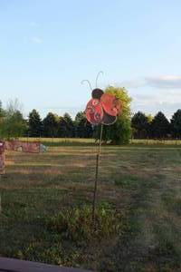 lot 91 image: Roughly 11 ft lady bug garden stake