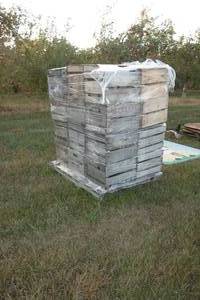 lot 48 image: Pallet of Wooden Crates