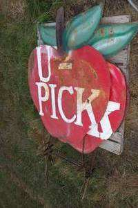 lot 50 image: 3 Large Metal U-Pick Apple Signs