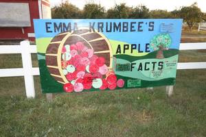 lot 279 image: Apple Facts Interactive Sign