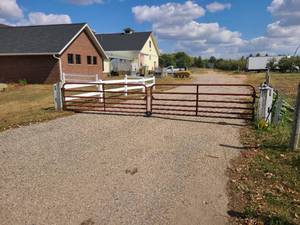 lot 282A image: quantity of 2 10 cattle gates
