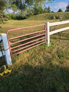 lot 286 image: 6 cattle gate