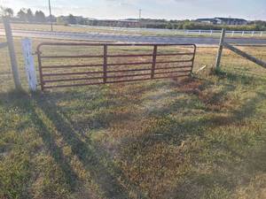 lot 290 image: 14 cattle gate