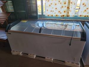 lot 193 image: Black Diamond Reach in Freezer Less than a year old Model BDCF-19-CG Dimensions 71x26.5x31