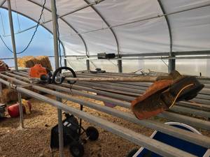 lot 301 image: Stihl FS 70 R Trimmer