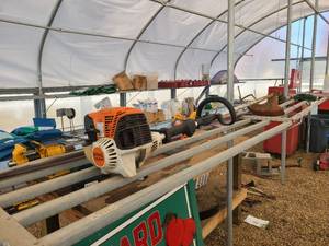 lot 303 image: Stihl FS91R Trimmer