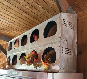lot 230 image: Tin Chicken nesting box and dcor