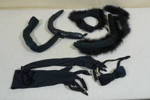 lot 296 image: Halloween Cat Costume Accessories
