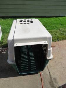 lot 48 image: Plastic Pet Taxi - 36L x 25W x 28H
