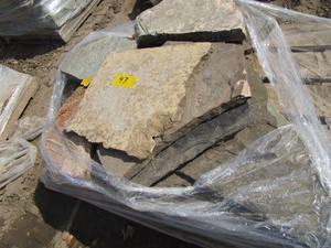 Mix of Irregular Pavers