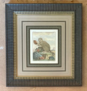 lot 86 image: Pair of Monkey Motif Framed Prints