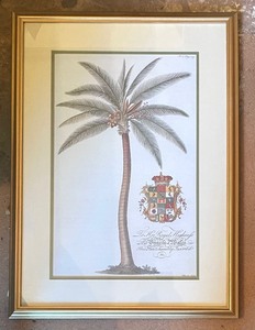 lot 312 image: Two British Colonial Palm Framed Prints