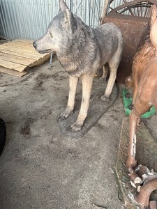 lot 87 image: Concrete Wolf  big and heavy