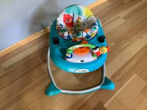 Baby Einstein Baby Bouncer