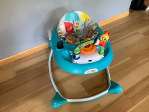 Baby Einstein Baby Bouncer 2