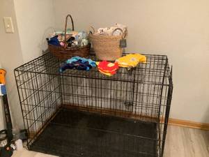 Dog Lot