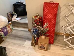Christmas Lot