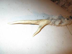 lot 550 image: Native American Antler Ceremony Sti...