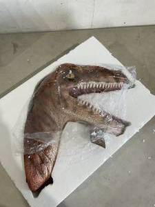 lot 200 image: DWK Alpha Raptor Wall Mounted Dinosaur Trophy Head